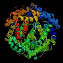 Proteinstructure.jpg
