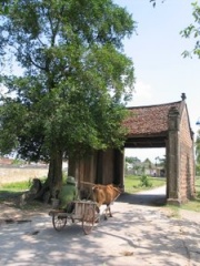 Tập tin:ConglangMP.jpg
