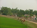 Hình thu nhỏ của phiên bản vào lúc 21:55, 3/10/2008