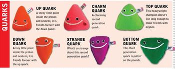 Bai-7-Cac-chu-linh-quarks-Mot-cuoc-gap-go-thu-vi-2.jpg