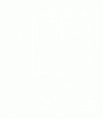 Tập tin:1002.gif